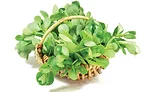 Purslane, a salad staple in Europe, is believed to help regulate blood sugar