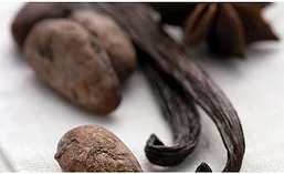 Cocoa Beans and Vanilla Beans