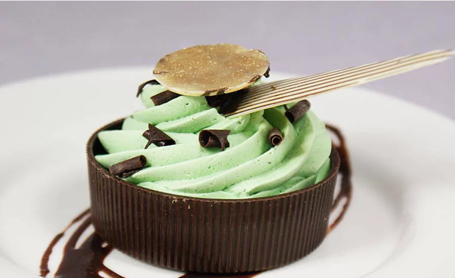 Mint Chocolate Frozen Treat