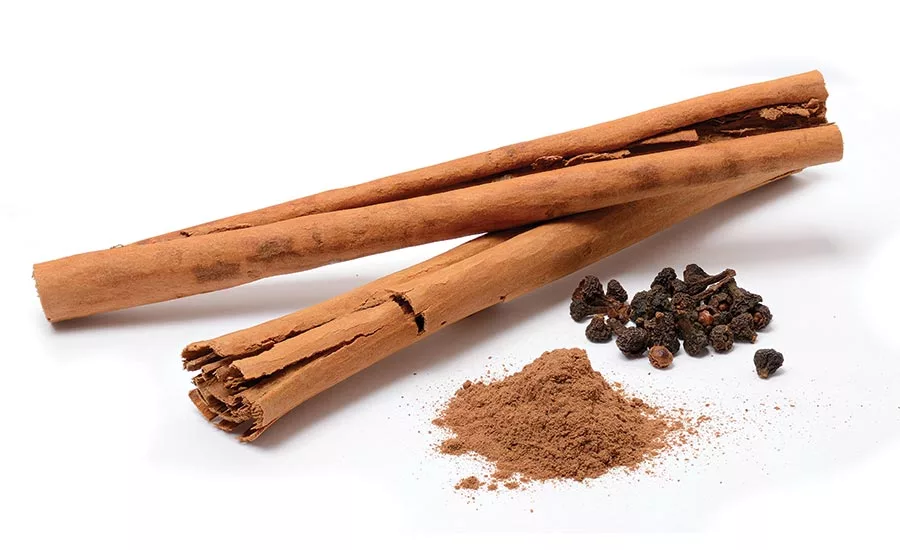 Cinnamon Sticks, Power, and Dried Flowers