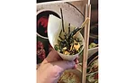 Ahi Poke Cones