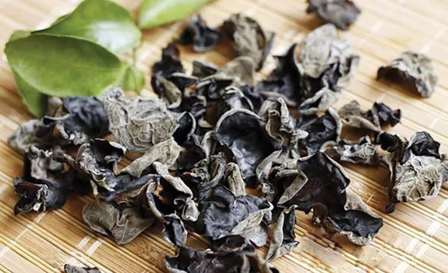 Certain mushrooms could be the next generation of anti-cancer ingredients