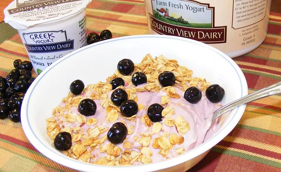 Aronia berries are among the richest source of fruit anthocyanins