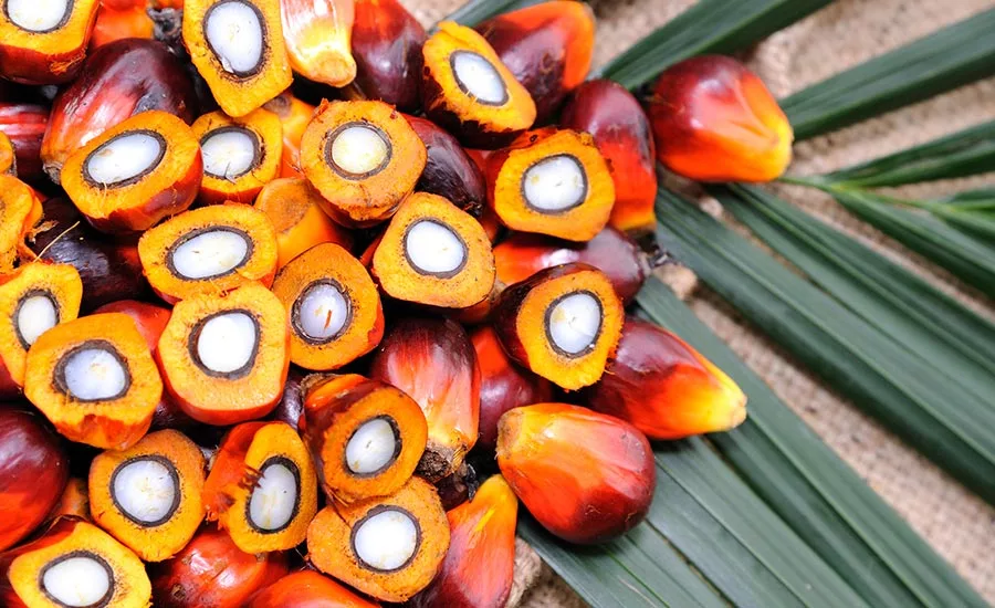 Culinologists and nutritionists are embracing truly sustainable palm oil, especially red palm oil