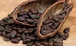 Chocolate, especially dark chocolate, is rich in flavonols, procyanidins, and other compounds that inhibit the growth of certain cancers