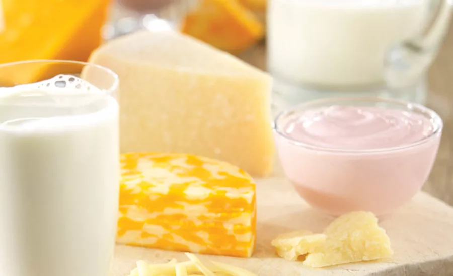 Dairy Foods Including Cheese, Milk, and Yogurt