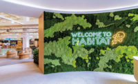 Habitat by HonestBee
