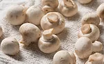 White Mushrooms