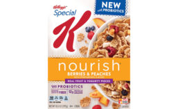 Kellogg's Special K Nourish Cereal