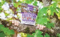 Made in Nature Organic Dried Fruit & Seeds Snack