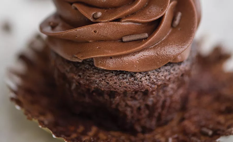 Chocolate Cupcake