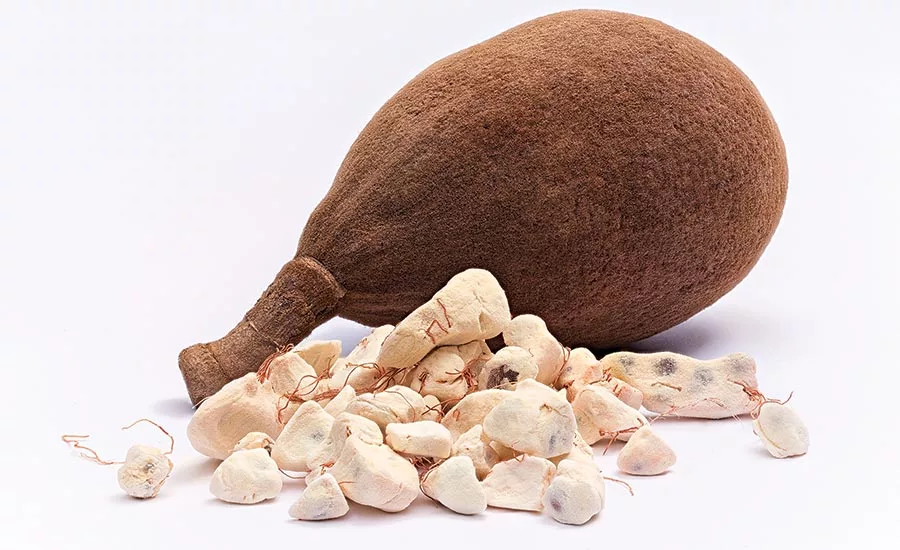 Baobab Fruit
