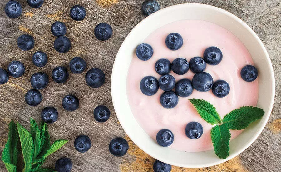 Bowl of Yogurt with Blueberries