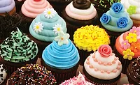 Colorful Icing on Chocolate Cupcakes