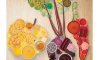 Array of Colored Foods