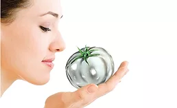 Woman Holding Silver Tomato