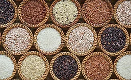 Varieties of Rice