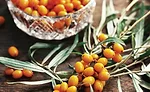 Sea Buckthorn Berries