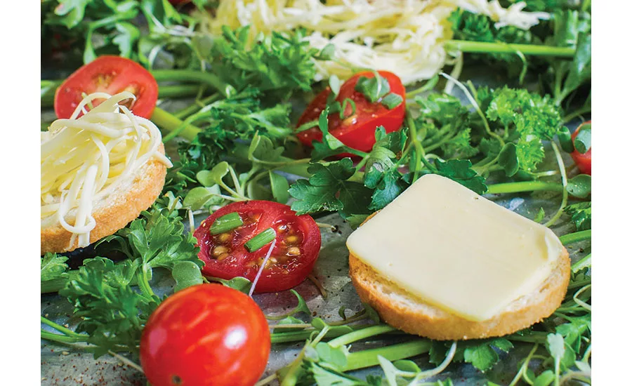 Salad with Cheese and Crackers
