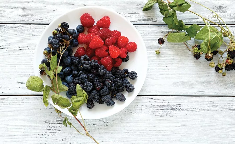 Plate of Blueberries, Blackberries, and Raspberries