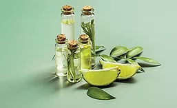 Lime Slices and Herbs