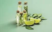 Lime Slices and Herbs