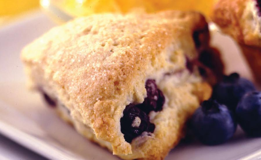 Blueberry Biscuit