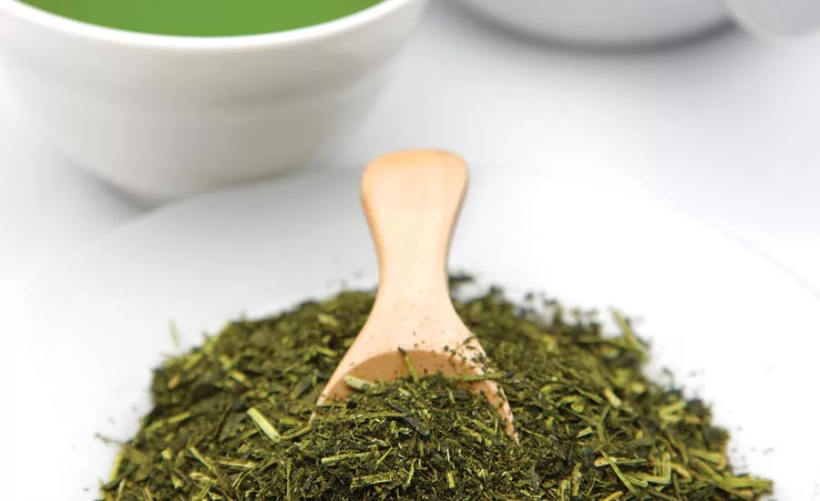 Green Tea Extract