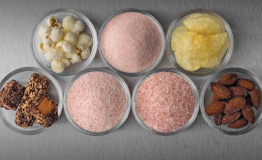 Sea Salt and Salty Snacks