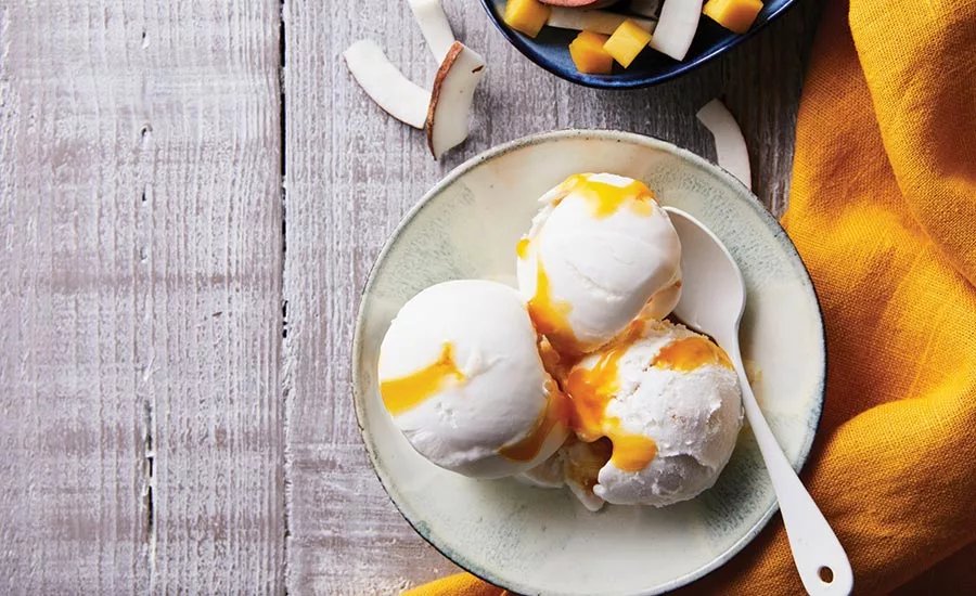 Plant Protein Ice Cream