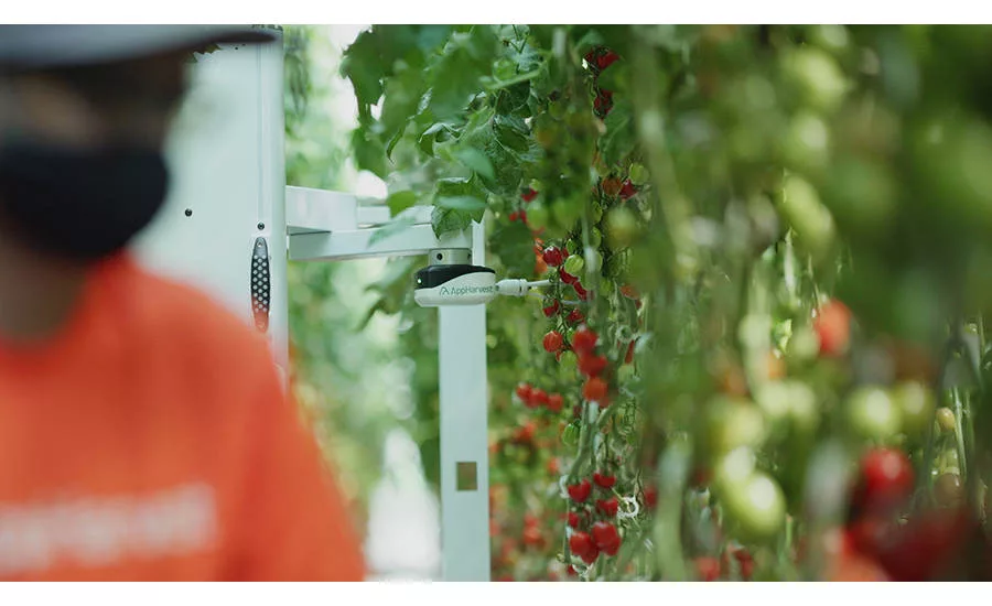 AppHarvest Vertical, Indoor Tomato Farm