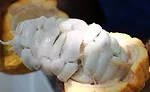 Cocoa Fruit Pulp