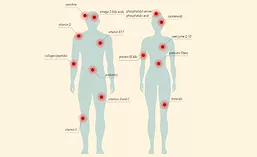 Senior Male and Female Targeted Nutritional Needs