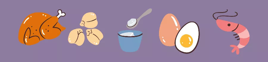 Top Five Whole-Food Protein Sources
