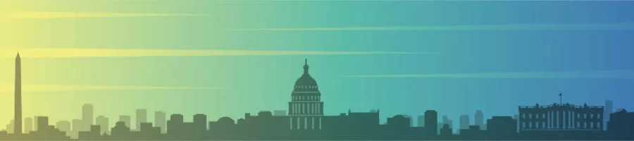Washington DC Skyline
