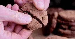 Cookie close up