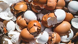 Cracked eggshells