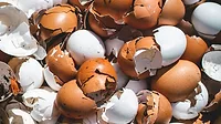Cracked eggshells
