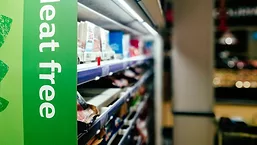 refrigerated and frozen plant-based meat alternatives