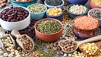 Close-up image group of dishes in a variety of sized bowls with pulses, nuts, seeds, peas and beans, black, green, red and yellow lentils, wooden serving scoops and heart-shaped spoons, spilled beans and lentils, grey background, focus on foreground