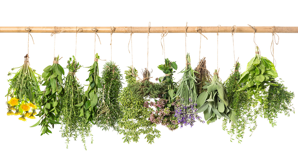 Freshly picked herbs and flowers including mint, rosemary, lavender, sage, basil, and dandelions hanging to on a pole to dry.