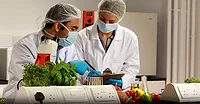 Screenshot of two laboratory employees in masks, hair netting and labcoats using a microscope and taking notes on a clipboard.