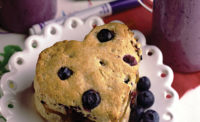 Fresh fruits including blueberries contain many naturally occurring antioxidants