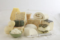 cheeses, cheese formulaiton