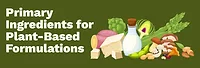 Primary Ingredients for Plant-Based Formulations