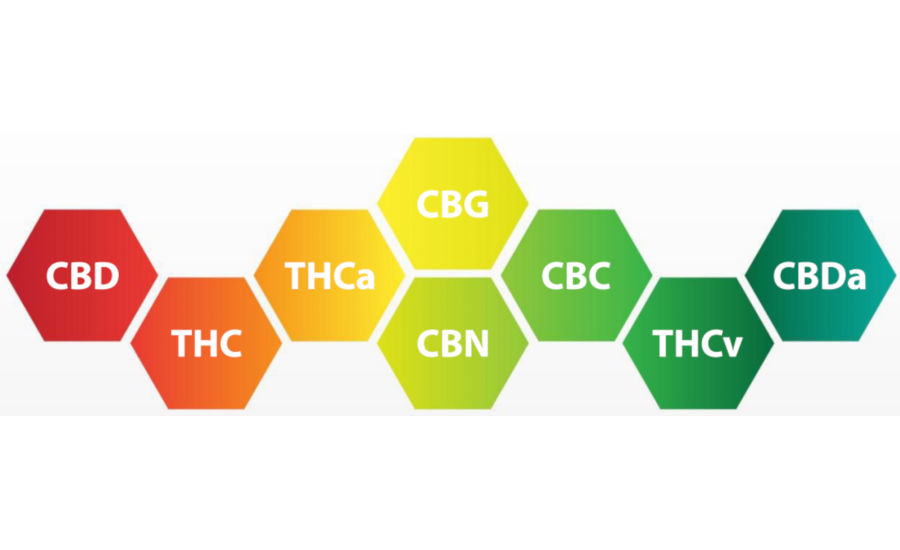Cannabinoids Molecules Graphic