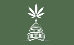 Drawing of White House Topped with Marijuana Leaf