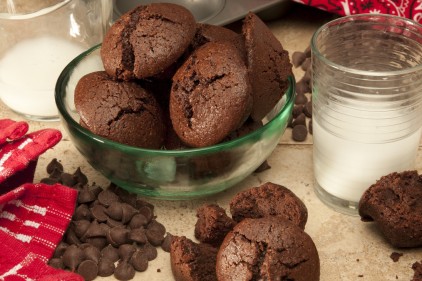 Flax4Life Chocolate Muffins