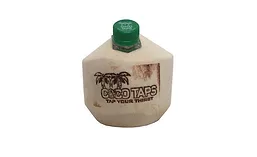 CocoTaps_900.jpg