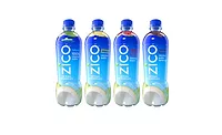 Zico_2016_900.jpg